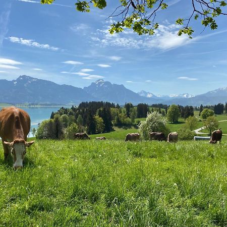 Best Butler Boho Boutique City Apartment Netflix Füssen Εξωτερικό φωτογραφία