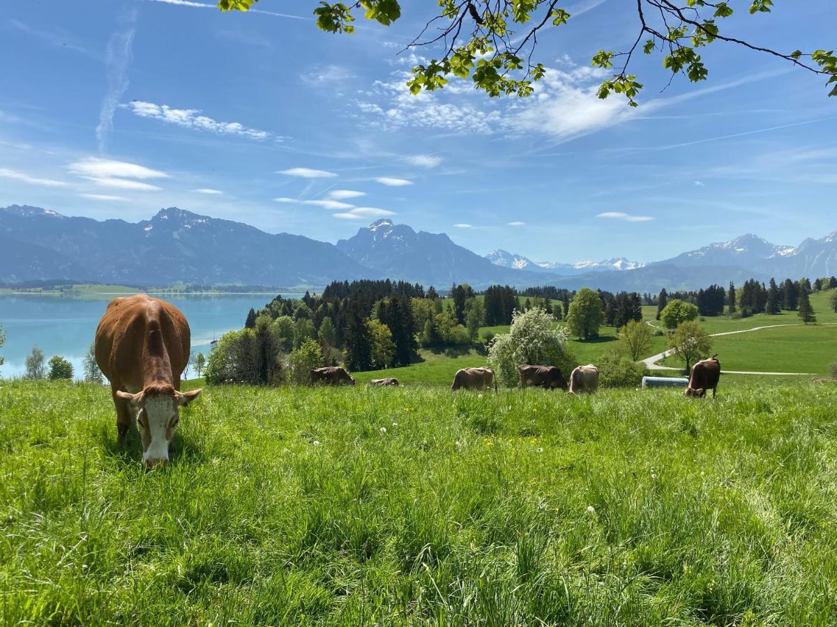 Best Butler Boho Boutique City Apartment Netflix Füssen Εξωτερικό φωτογραφία